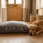 COCU2640_02.webp