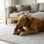 HAB04787_01.webp