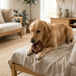 HAB05626_01.webp