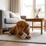HAB07437_01.webp