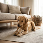 HAB07438_01.webp