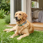 IBICO6040_01.webp