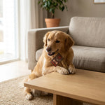 INNER-HAB07443_01.webp
