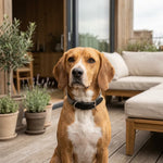 QUECO2035_03.webp