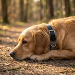 QUECO2040_02.webp