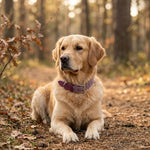 QUECO4535_02.webp