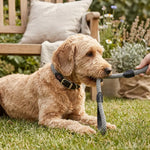 WALCO1015050_01.webp