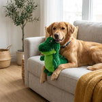 ZOAK020203_01.webp