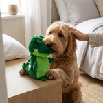 ZOAK020203_04.webp