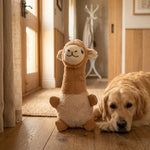 ZOAK031503_02.webp