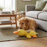 ZOAK090703_01.webp