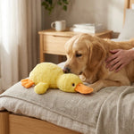 ZOAK090703_04.webp