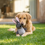 ZOAK231304_01.webp