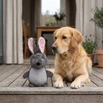 ZOAK231304_03.webp