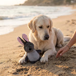 ZOAK231304_04.webp